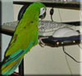 Enlarge photo 2