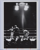 Enlarge photo 42