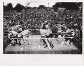 Enlarge photo 48