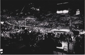 Enlarge photo 56
