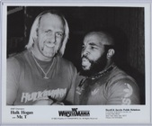 Enlarge photo 420