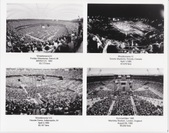 Enlarge photo 469