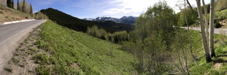 Enlarge photo 90