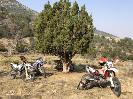 Enlarge photo 178