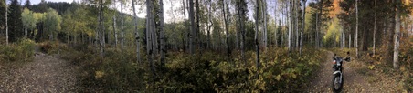 Enlarge photo 43