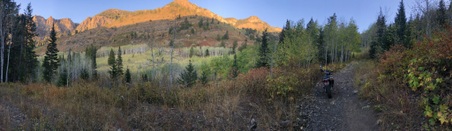 Enlarge photo 42