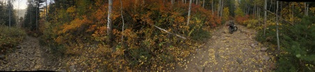 Enlarge photo 39