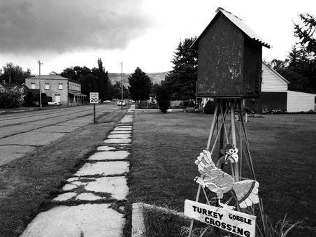 Enlarge photo 80