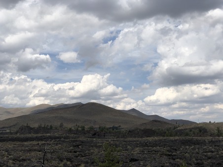 Enlarge photo 116