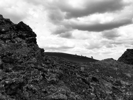 Enlarge photo 135