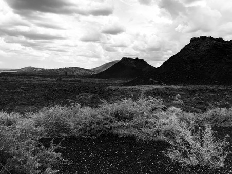 Enlarge photo 136
