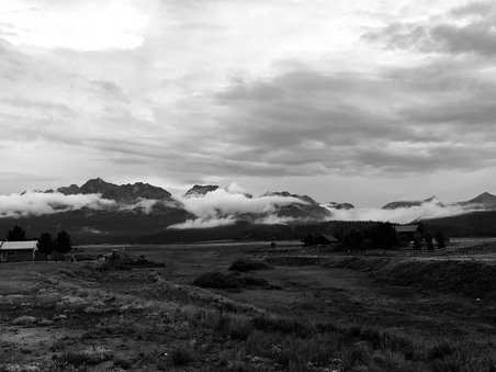 Enlarge photo 192