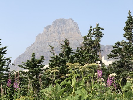 Enlarge photo 288
