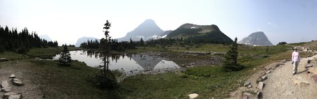Enlarge photo 305