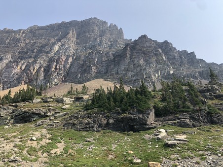 Enlarge photo 309