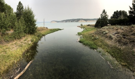 Enlarge photo 379