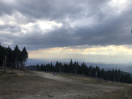 Enlarge photo 462