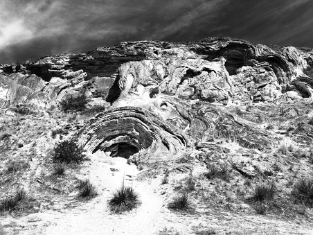 Enlarge photo 605