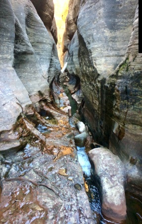 Enlarge photo 15