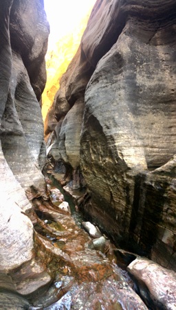 Enlarge photo 16