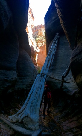 Enlarge photo 21
