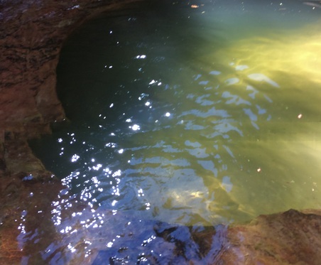 Enlarge photo 56