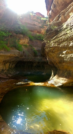 Enlarge photo 57