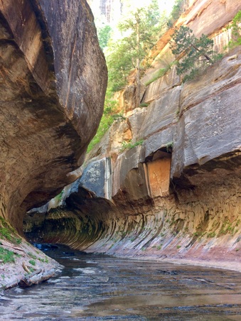 Enlarge photo 80