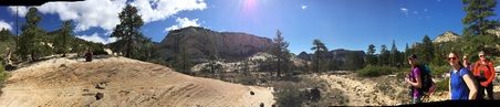Enlarge photo 113