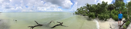 Enlarge photo 17