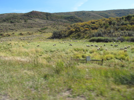 Enlarge photo 314
