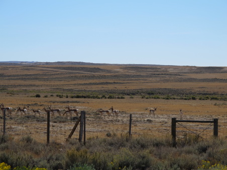 Enlarge photo 336