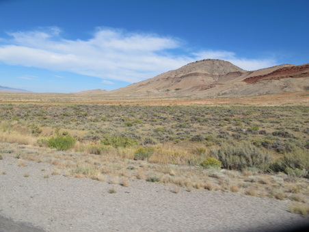 Enlarge photo 337