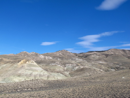 Enlarge photo 347