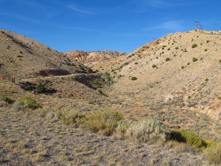 Enlarge photo 351