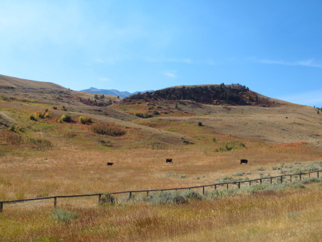 Enlarge photo 393