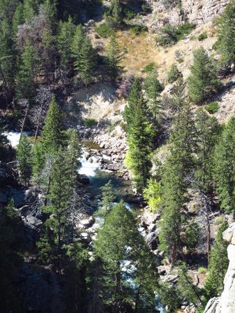 Enlarge photo 448
