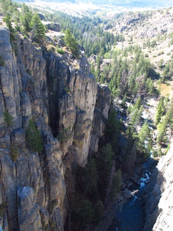 Enlarge photo 451
