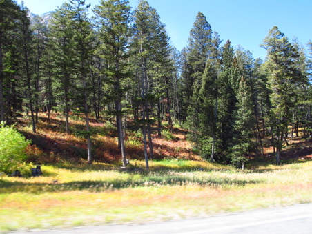 Enlarge photo 460