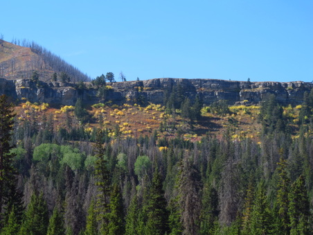 Enlarge photo 459
