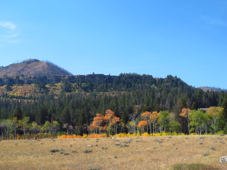 Enlarge photo 462