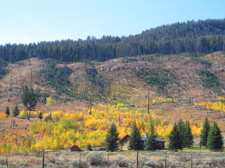 Enlarge photo 20