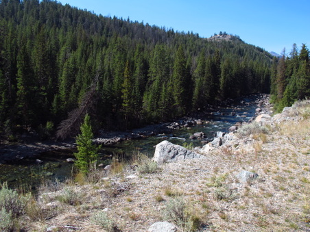 Enlarge photo 479