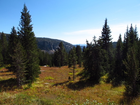 Enlarge photo 487