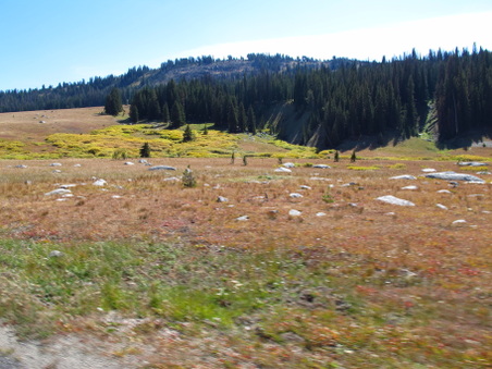 Enlarge photo 493