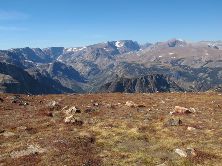 Enlarge photo 516