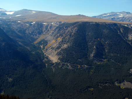 Enlarge photo 546