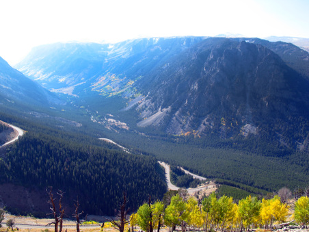 Enlarge photo 35