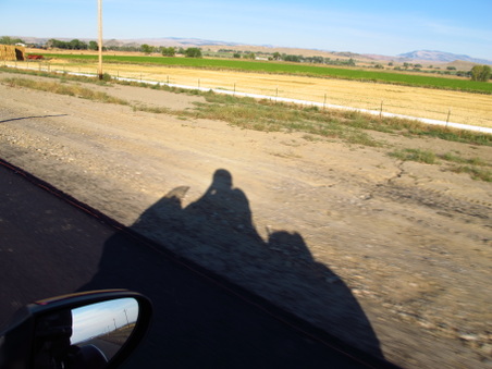 Enlarge photo 574