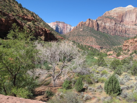 Enlarge photo 23